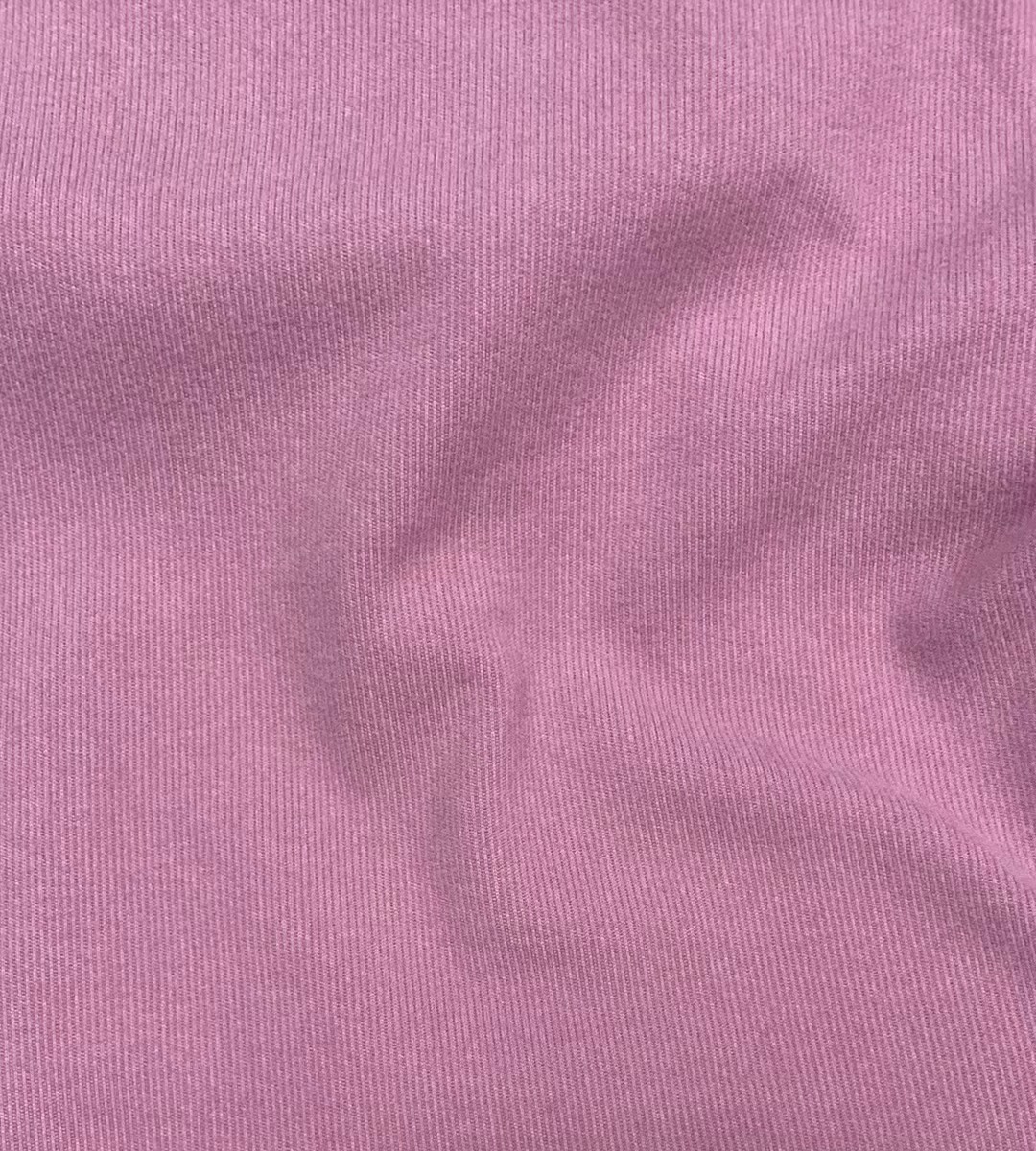 J250103003 Cationic Rib Thermal Knit Fabric 270 GSM (Pano Rib) wholesale fabric KG China mill